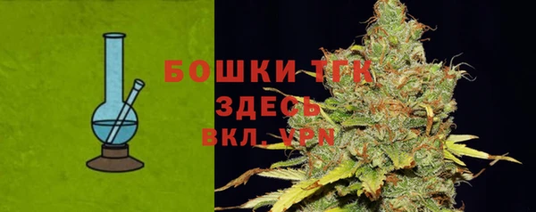 крисы Аркадак