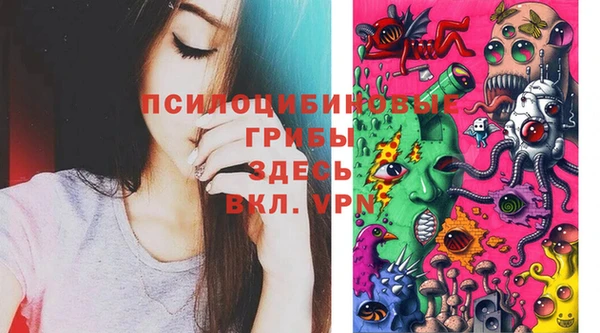 стафф Армянск