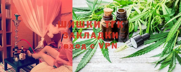 крисы Аркадак
