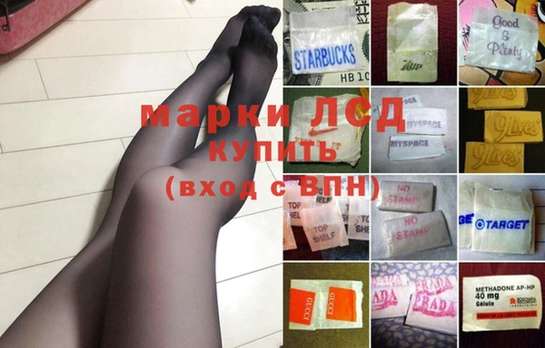 крисы Аркадак